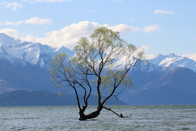 New Zealand - The impressive White Island, about 50 kilometers off the coast of New Zealand's North Island