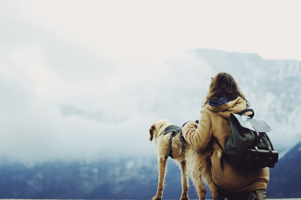 Travelling With Pets