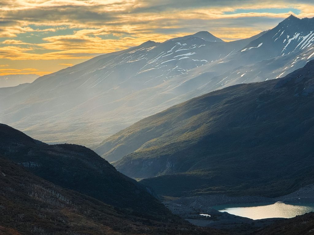 Chilean forests