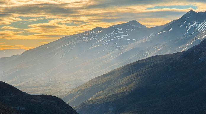 Chilean forests, (Image Source: Pexels) Chilean forests
