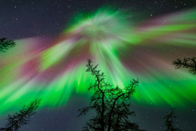 Colorful aurora borealis dances over starry night 