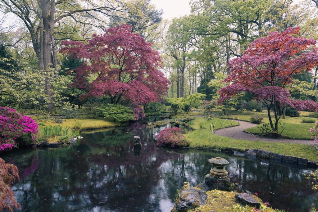 Kyoto Garden, Holland Park - London,