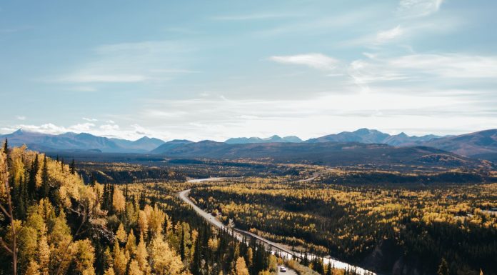 Things To Do In Fairbanks, (Image Source: Pexels) Things To Do In Fairbanks