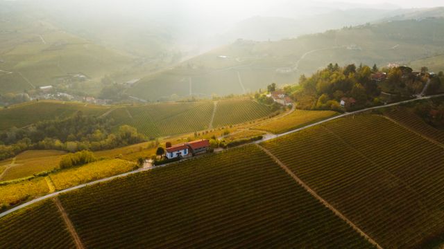 Wine Destinations
