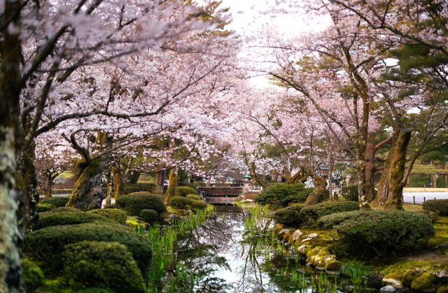 Japanese Gardens Outside Japan