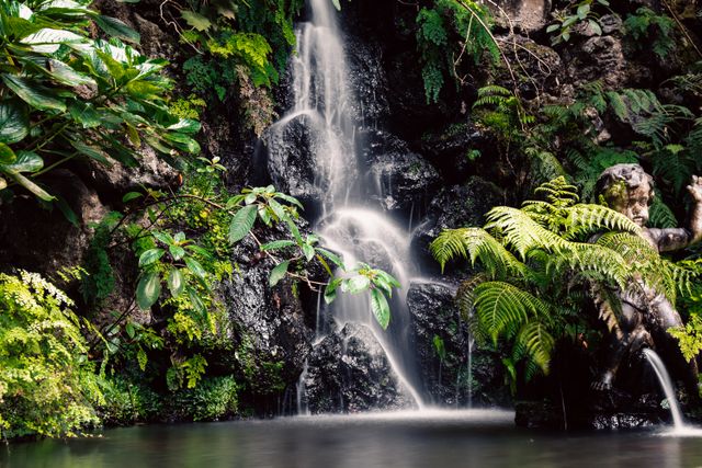 Monte Palace Tropical Garden - Madeira