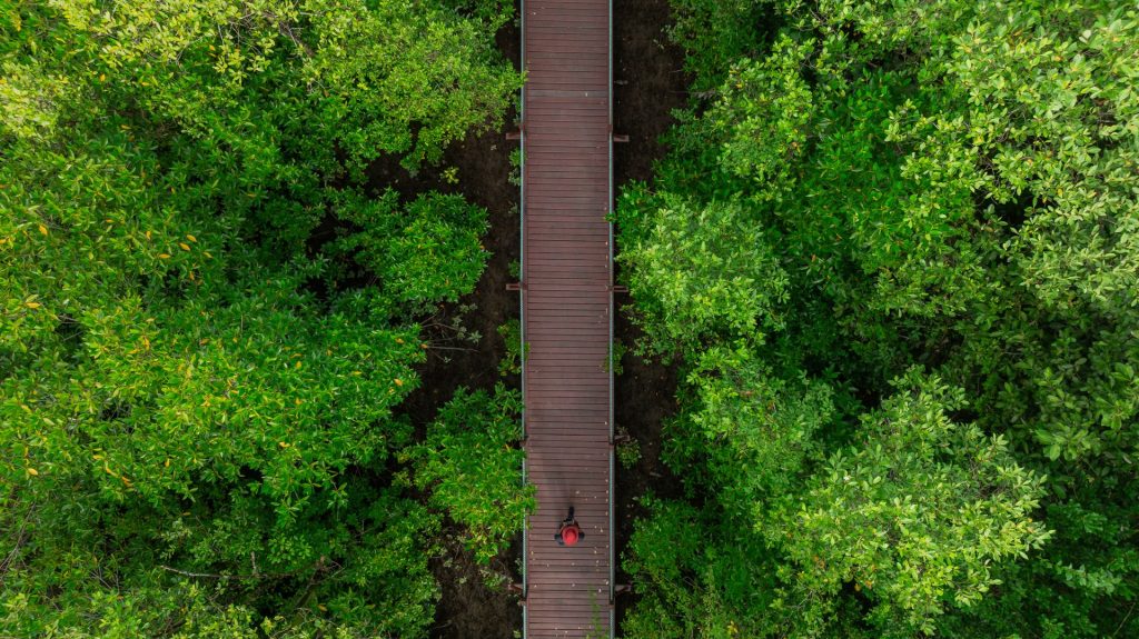 Sustainable Tourism