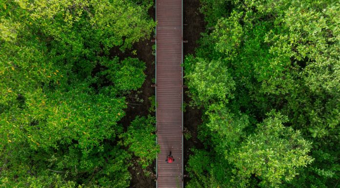 Sustainable Tourism, (Image Source: Pexels) Sustainable Tourism