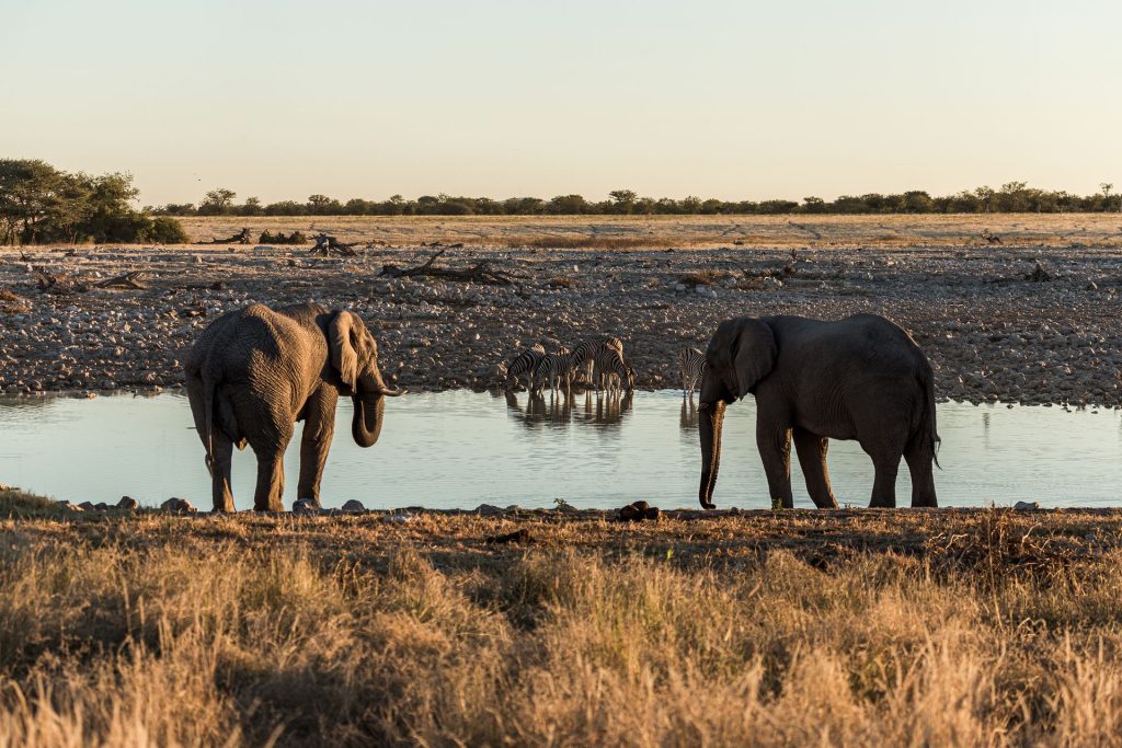 Okaukuejo Water Hole Botswana