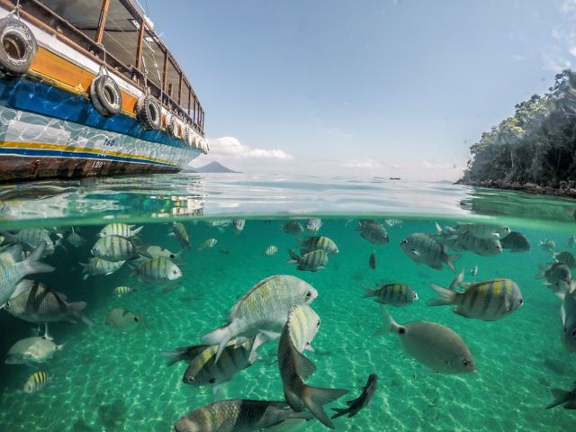 French Polynesia on a budget