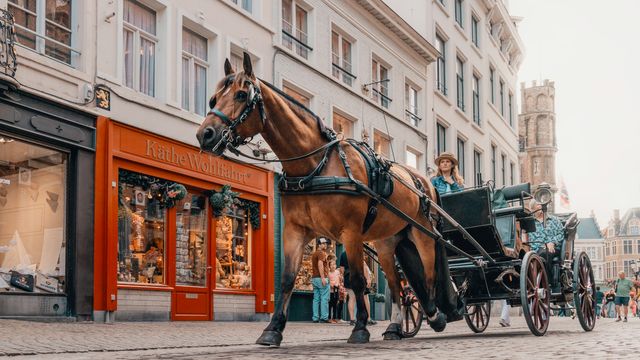 Best Travel Movies