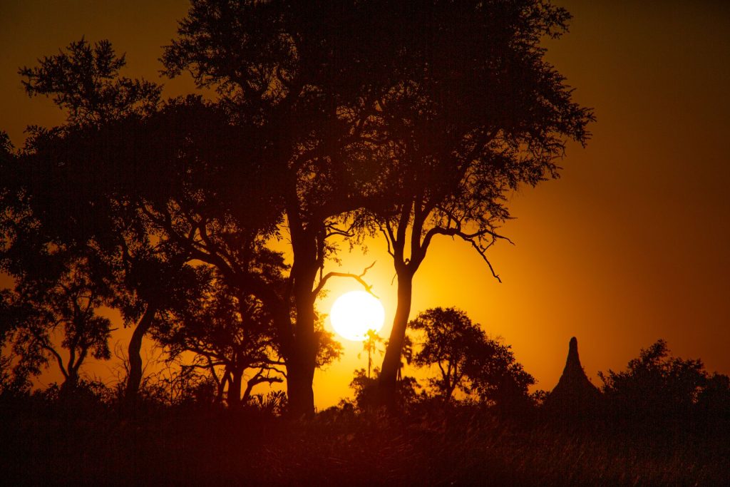 Visit Botswana