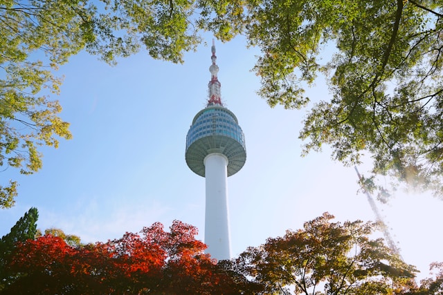 Seoul Tower and Namsan Park peak panorama with a few office towers in the foreground.