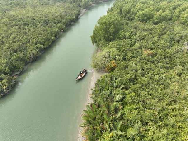 Sundarbans forest one of the seven natural wonders