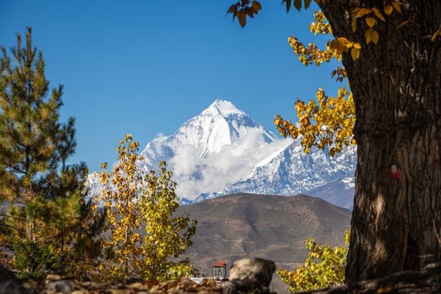 mount everest