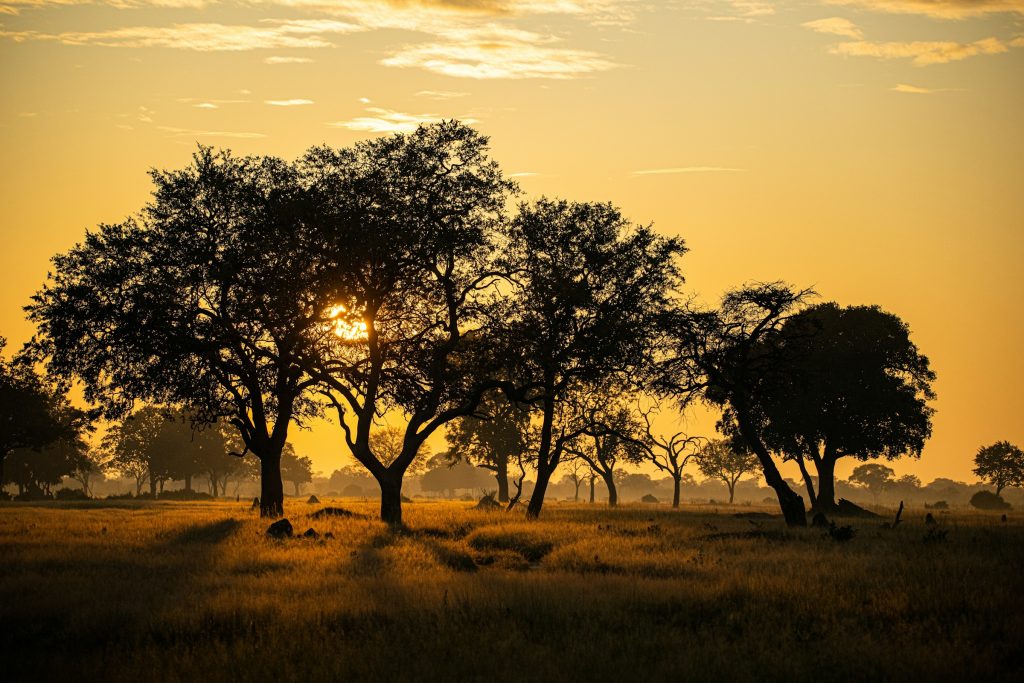 Zimbabwe