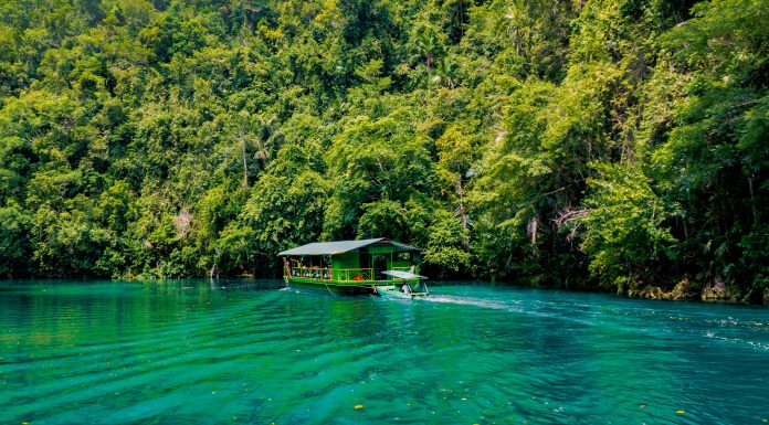 Reasons why you should visit the Island of Bohol, Philippines (Image Source: Unsplash) Credits already there Re-published