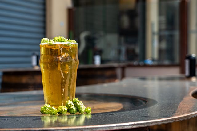 Tall glass of beer with fresh hops
