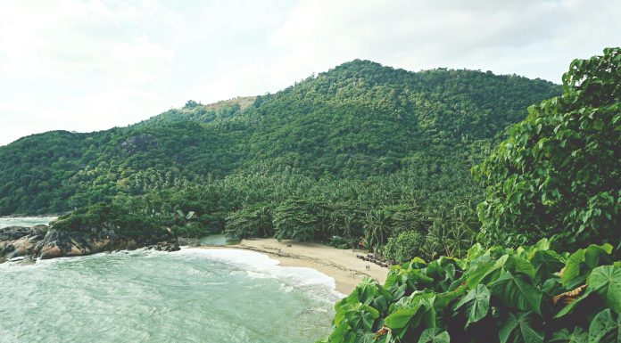 Koh Samui coastline, (Image Source: Pexels) Koh Samui coastline