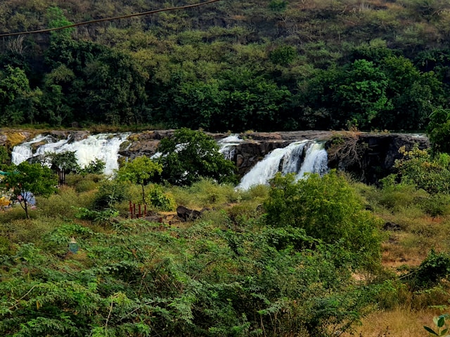 Guindy National Park