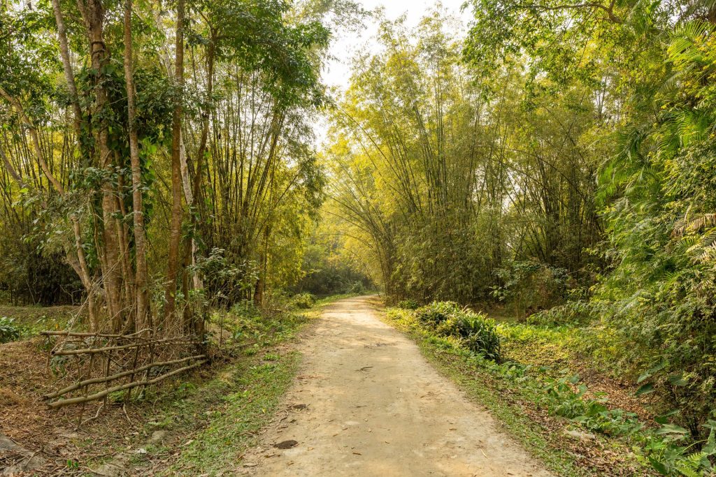 Mawlynnong village