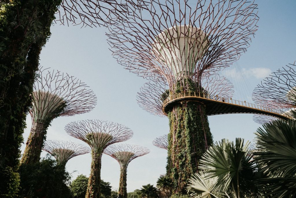 Gardens by the bay