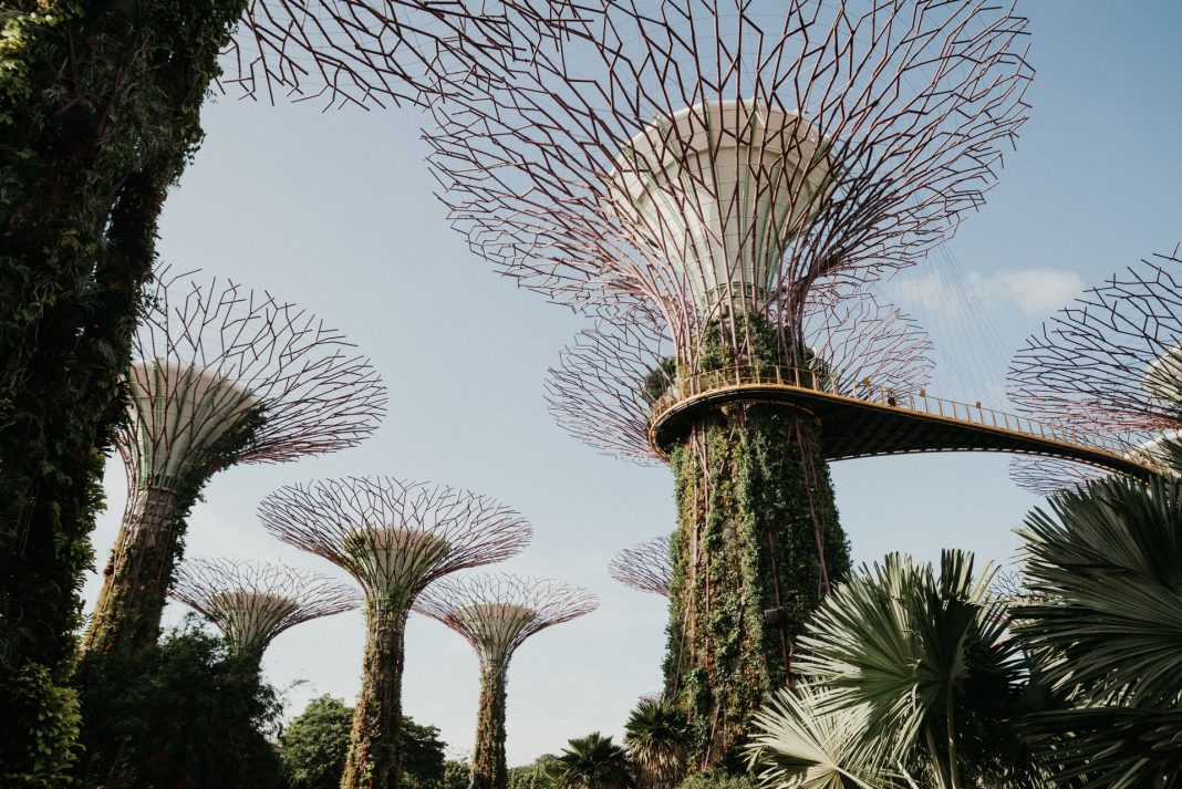 Gardens by the bay