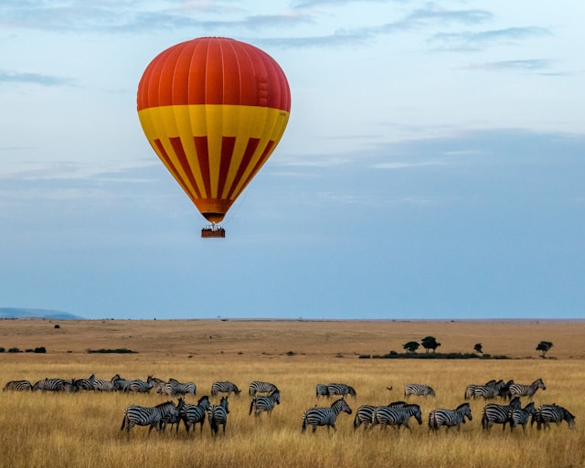 Viewing the Great Wildebeest Migration through a hot air balloon safari
