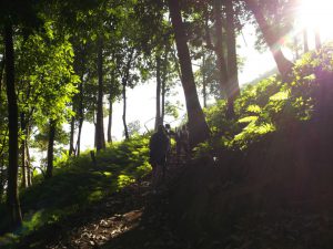 A hilly region near Chiang Mai