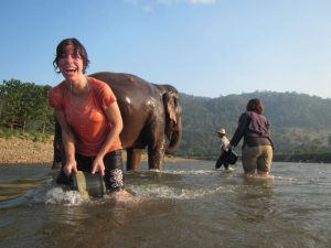 Elephant nature park in Chiang Mai, Volunteer tourism in Thailand