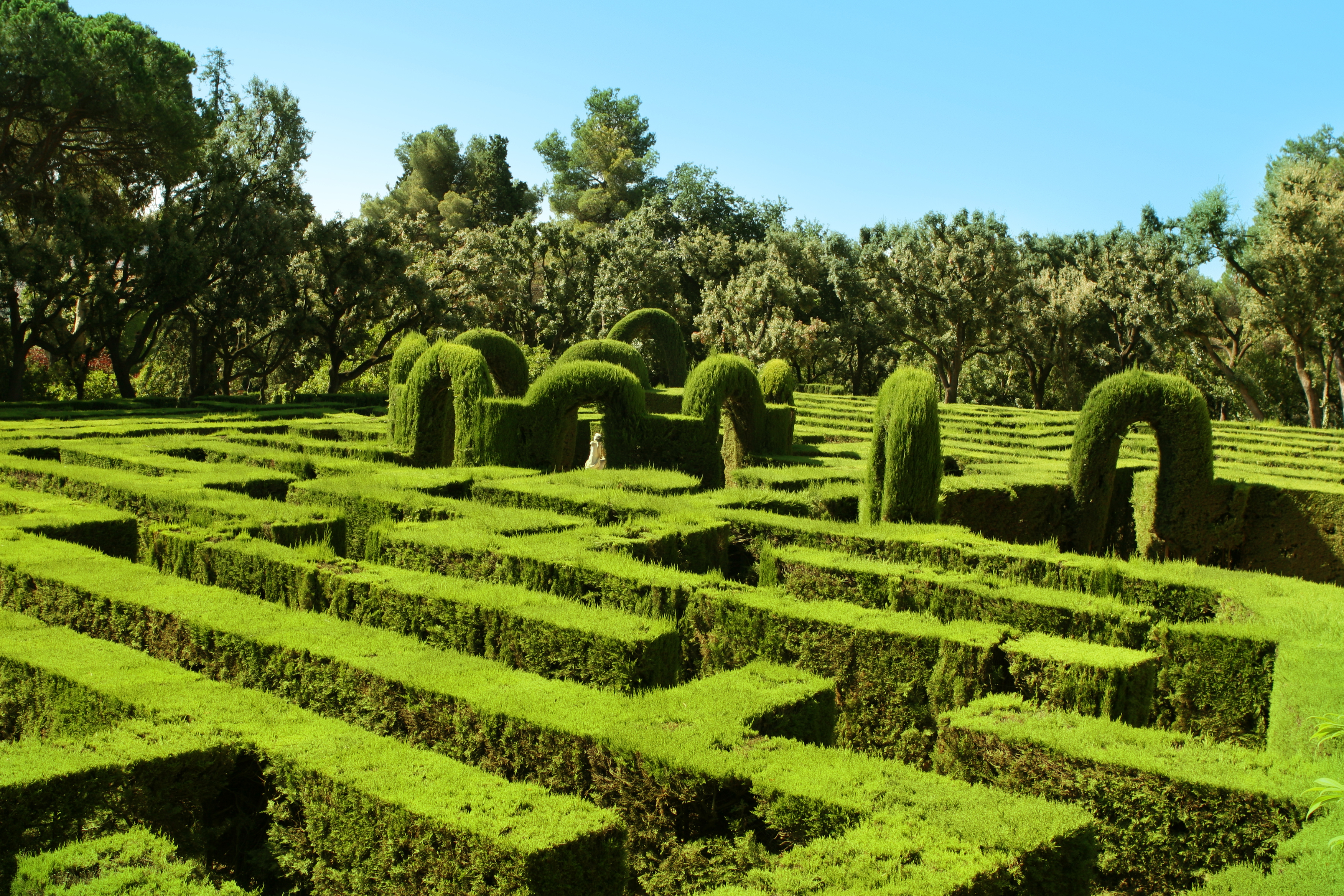 The hedges of the maze garden of Barcelona