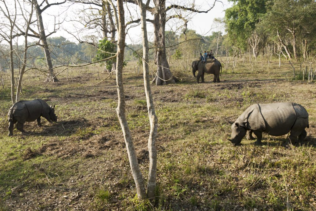 Sauraha, Chitwan. honeymoon in nepal