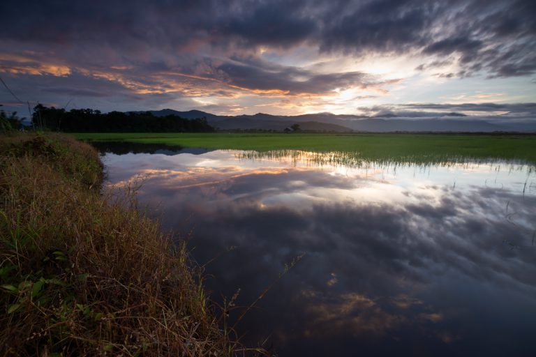 Monkeys And Fireflies: Borneo Bayau River Cruise