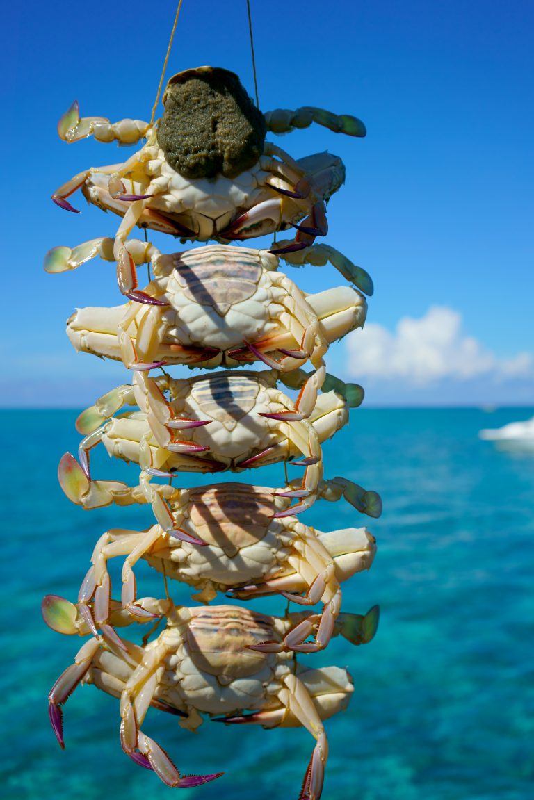 In the Mood For Some Sabahan Food?