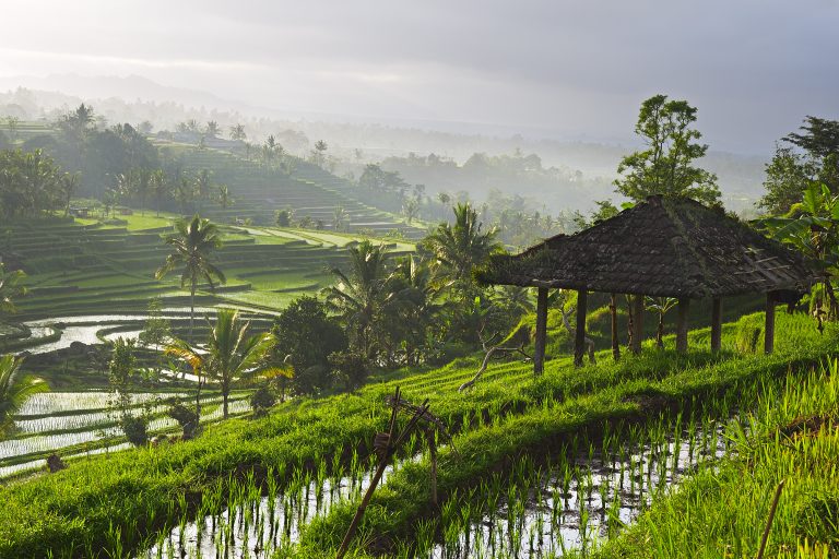 The Artistic Splendour Hidden In Bali’s Ubud