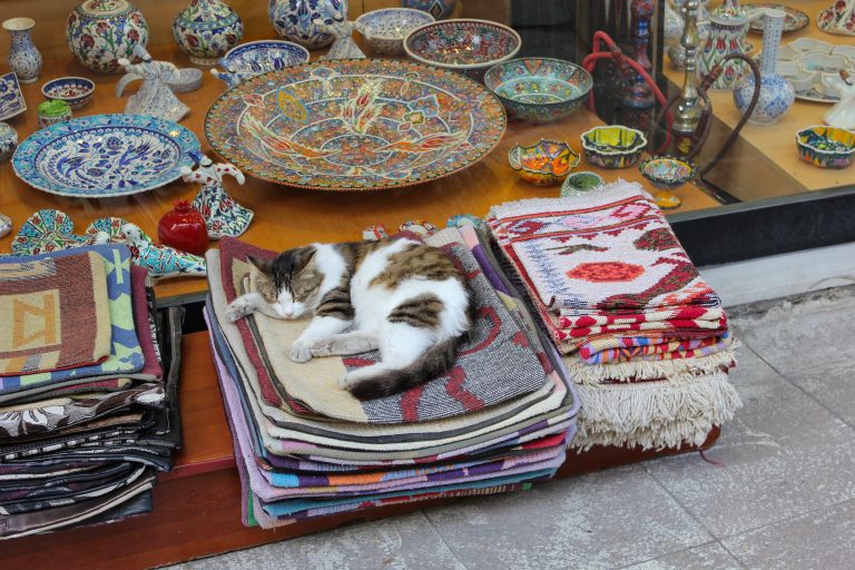 The Feline Conquerors Of Istanbul