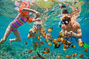 A family snorkelling, Bahmas