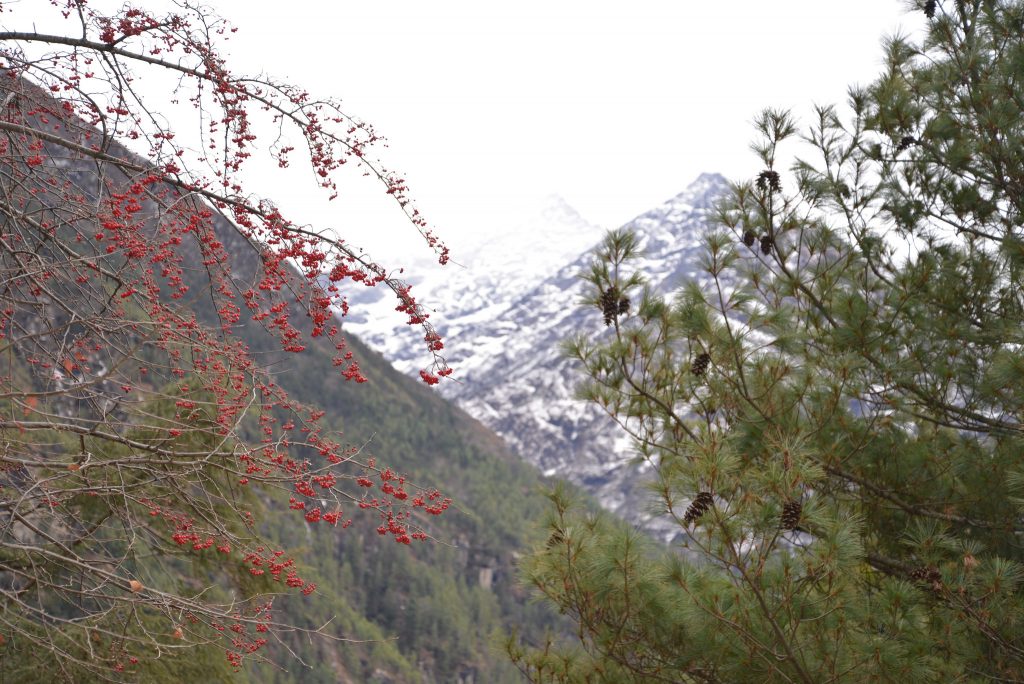 A view of the snow capped mountains - Everest base camp