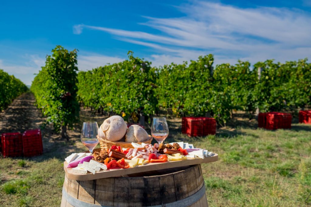 Traditional Romanian food plate with wine and vineyards