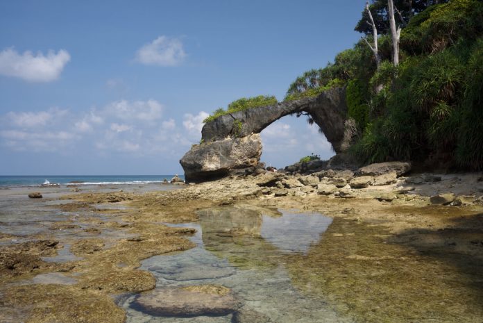 Neil Island Andamans