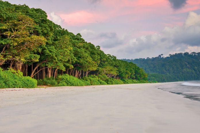 Radhanagar beach