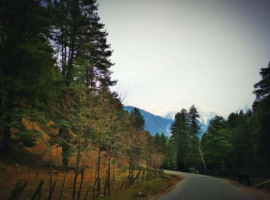 Enjoy a magnificent view en route to Pahalgam