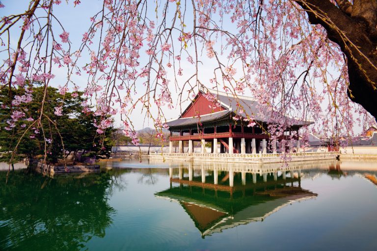A Perfect List Of Things To Do In South Korea For Your Next Trip