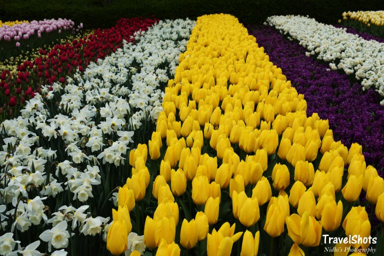 Visiting Amsterdam – Part 2 of Living in Amsterdam