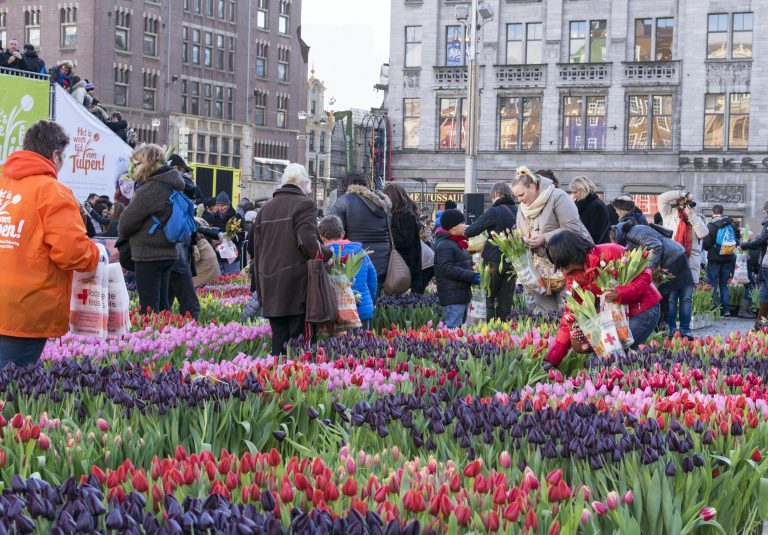 Living in Amsterdam! – Part I