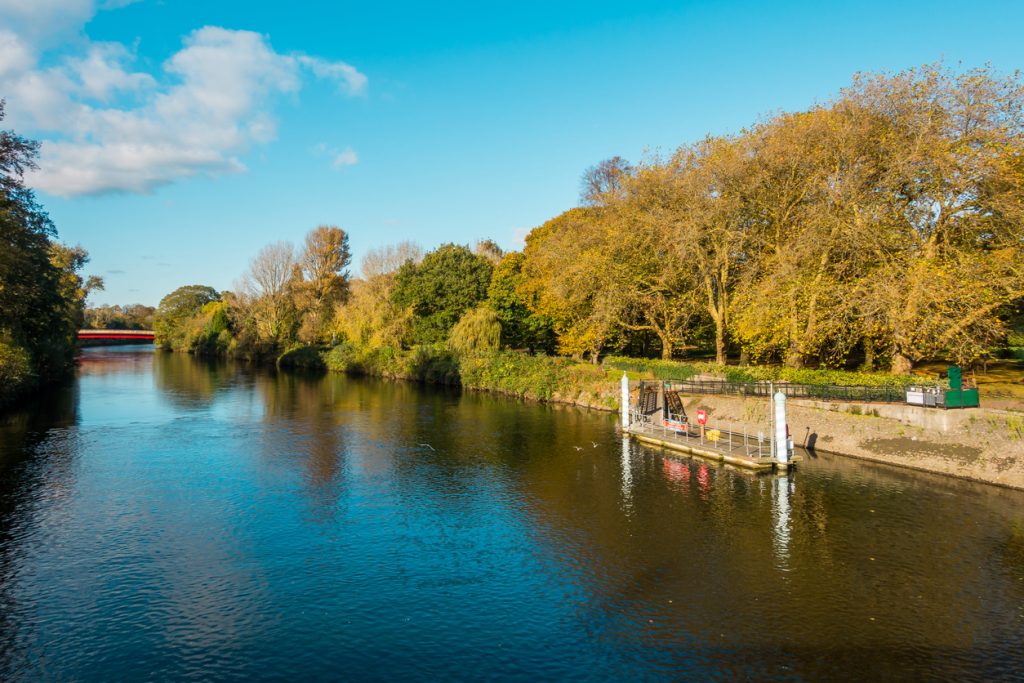 River Taff and Cardiff Bute Park
