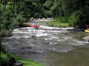 Ayung River Rafting In Bali