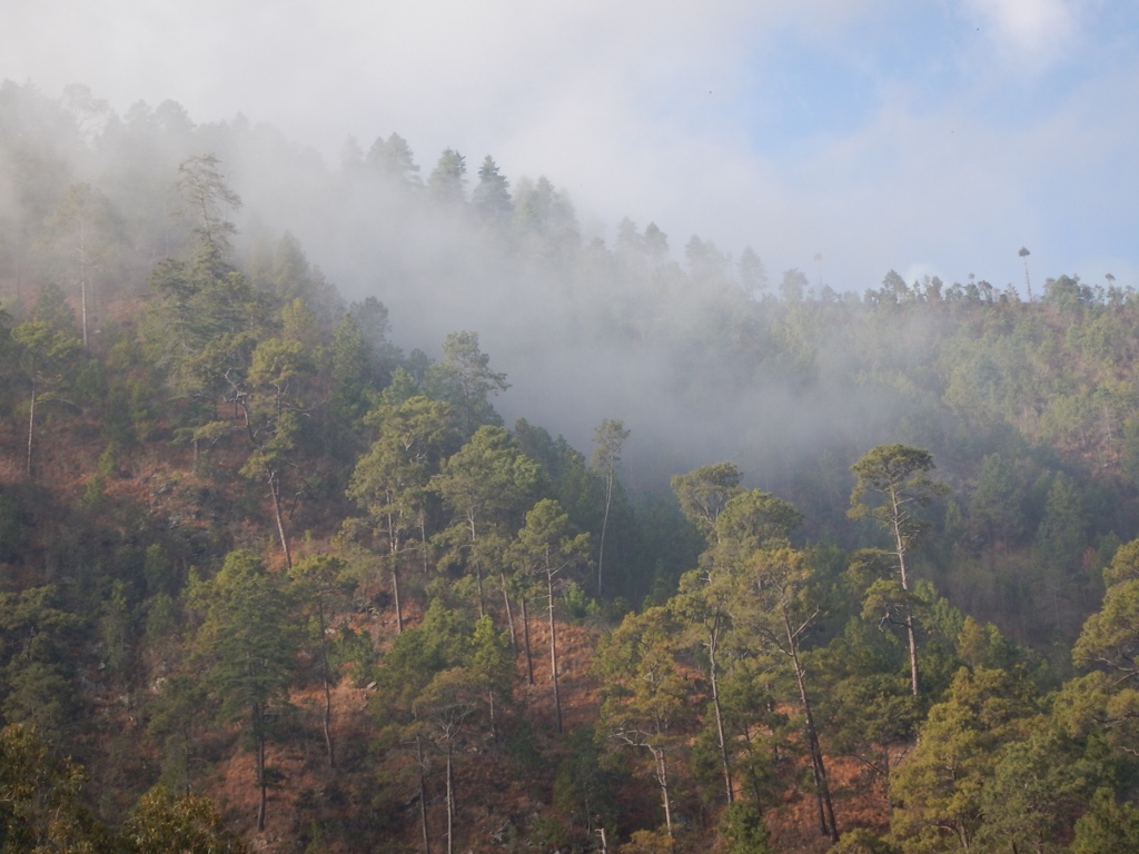 Early morning in Tenga