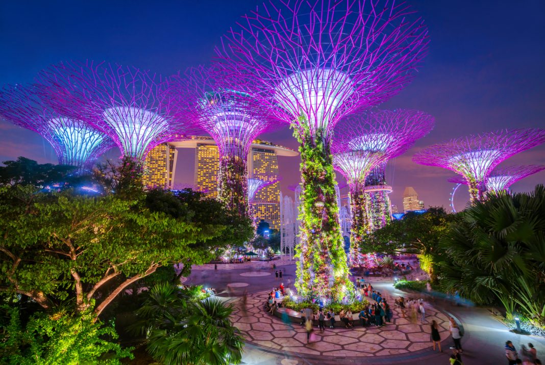 Singapore Supertrees - places to visit in singapore