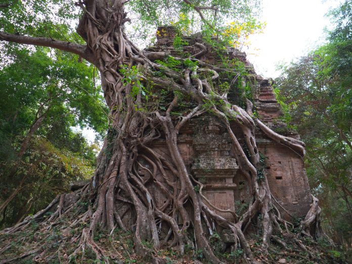 Sambor Prei Kuk in Cambodia
